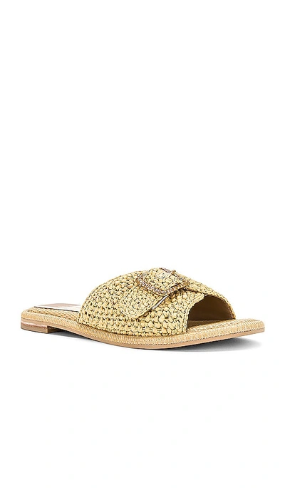 Dolce Vita Alonzo Raffia Sandal In Ç´ È‰²
