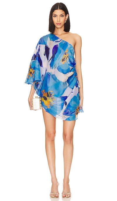 Shop Misa Hera Dress In Blue Poppy