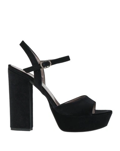 Shop Divine Follie Woman Sandals Black Size 9 Textile Fibers