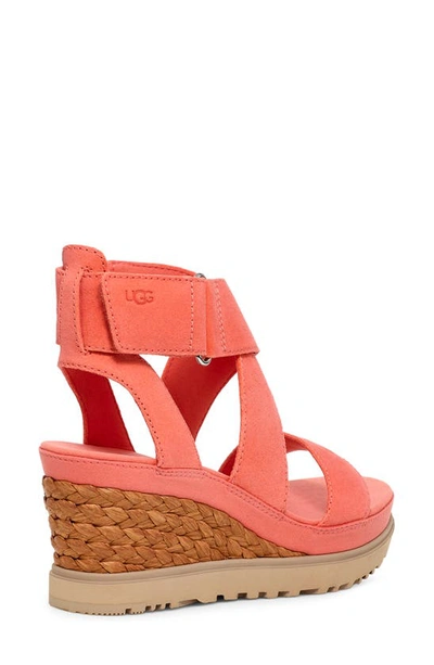 Shop Ugg Ileana Espadrille Wedge Sandal In Vibrant Coral