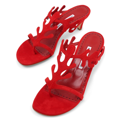 Shop Manolo Blahnik Hidrag 50 Red Suede Sandals