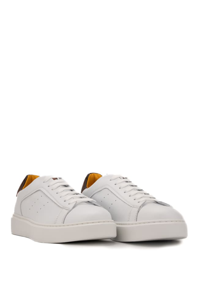 Shop Doucal's Leather Sneakers With Brown Heel Tab In Mostar Brandy+f.do Bianco