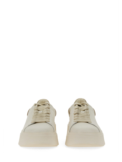 Shop Ash Moby 02 Sneaker In Bianco