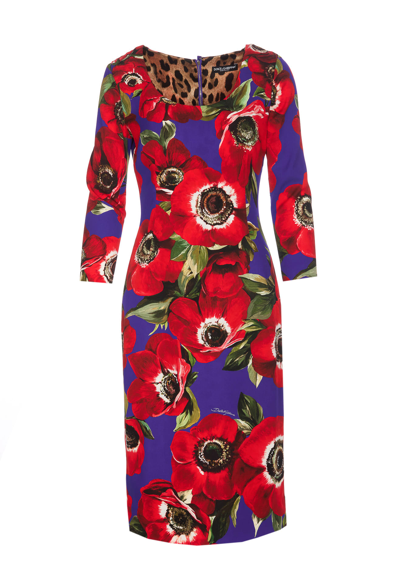 Shop Dolce & Gabbana Anemone Print Dress In Red