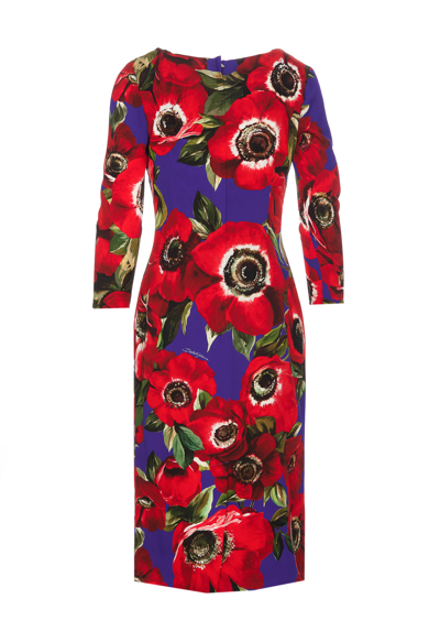 Shop Dolce & Gabbana Anemone Print Dress In Red