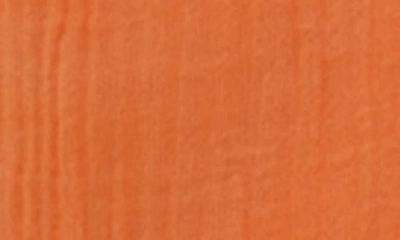 Shop Saachi Cotton Scarf In Orange