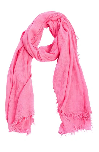 Shop Saachi Cotton Fringe Scarf In Pink