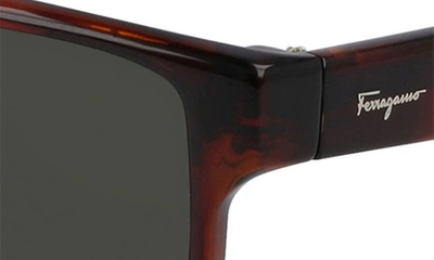 Ferragamo 58mm Rectangle Sunglasses In Tortoise