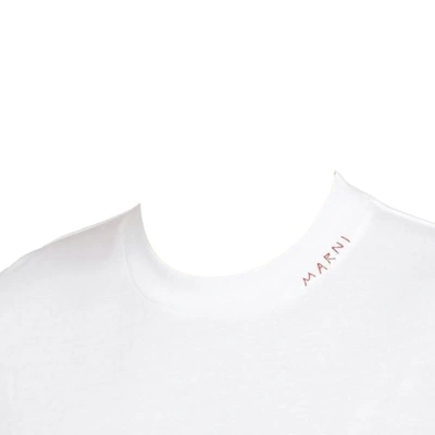 Shop Marni 3-pack Basic T-shirt In 00w01