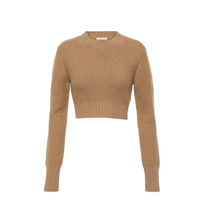 Shop Max Mara Cashmere Kaya Sweater In Brown