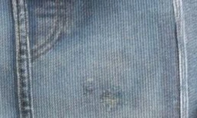 Acne Studios Rib Cotton Print Skirt In Denim Blue