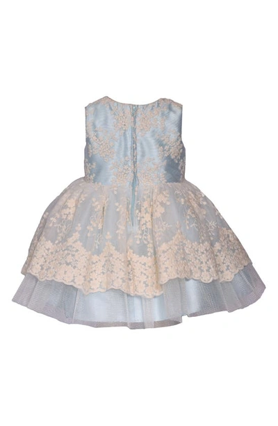 Shop Iris & Ivy Kids' Lace Fit & Flare Dress In Blue