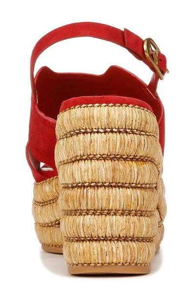 Shop Sarto By Franco Sarto Tamryn Wedge Sandal In Cherry