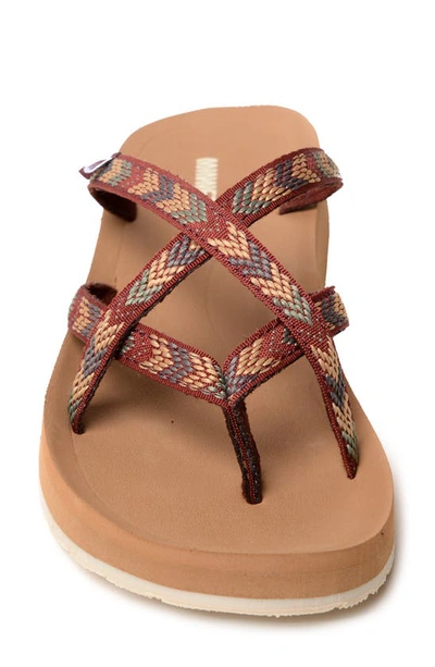 Shop Minnetonka Hanna 2.0 Flip Flop In Brown