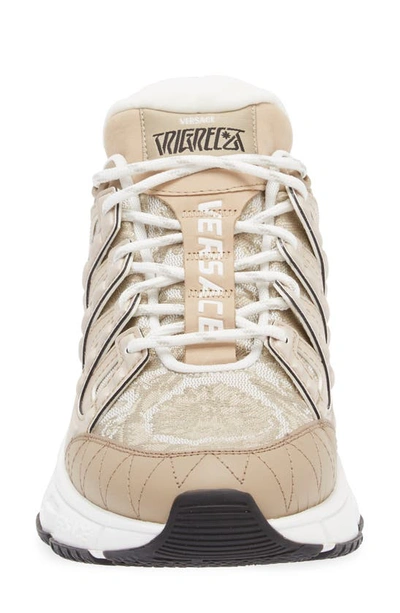 Shop Versace Trigreca Low Top Sneaker In Beige