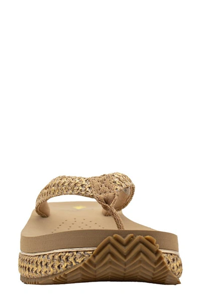 Volatile Palau Platform Flip Flop In Gold