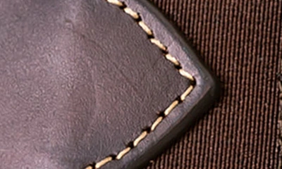 Joe's Stretch Leather Belt In Brown