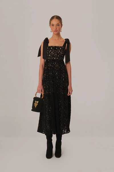 Shop Farm Rio Black Velvet Lace Sleeveless Maxi Dress