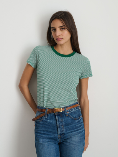 Shop Alex Mill Prospect Tee In Striped Cotton Jersey In Green/white