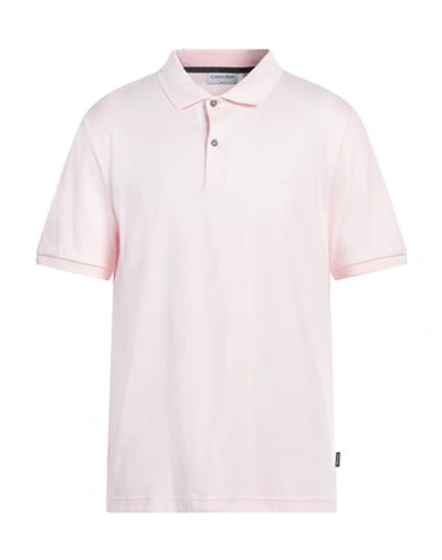 Shop Calvin Klein Man Polo Shirt Light Pink Size Xxl Cotton