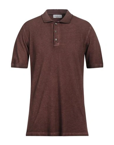 Shop Bellwood Man Polo Shirt Brown Size 42 Cotton