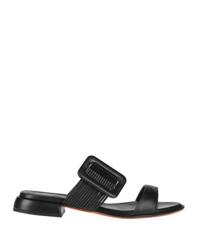 Shop Laura Bellariva Woman Sandals Black Size 5.5 Calfskin