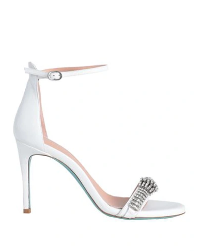 Shop Fratelli Russo Woman Sandals White Size 9 Leather