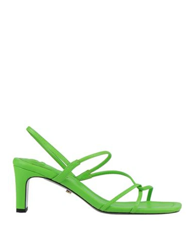 Shop Sandro Woman Sandals Green Size 6.5 Leather