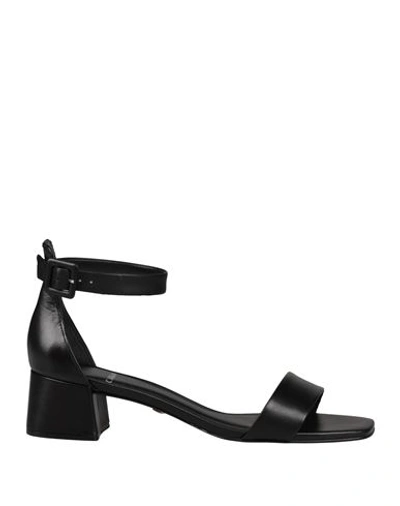 Shop Carrano Woman Sandals Black Size 5 Leather