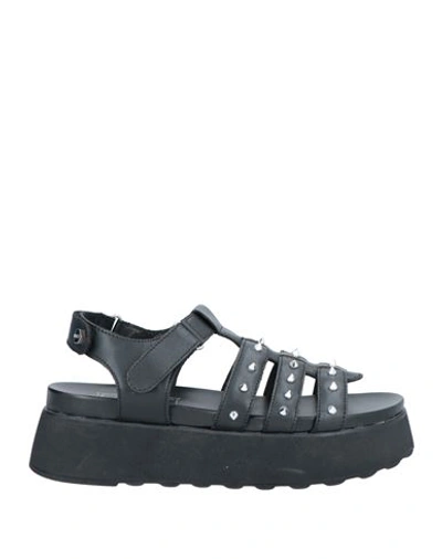 Cult Woman Sandals Black Size 8 Leather In Black