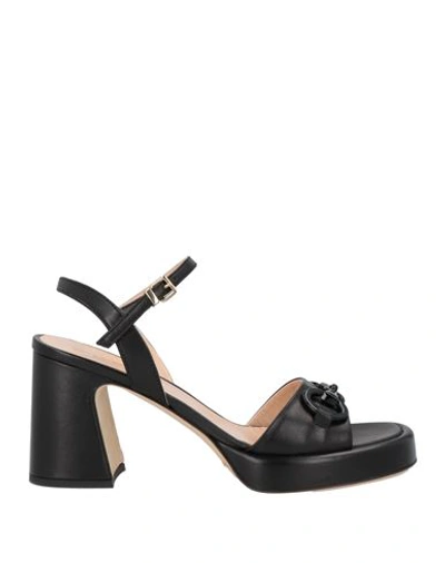 Shop Evaluna Woman Sandals Black Size 8 Leather