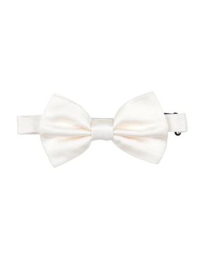 Shop Dolce & Gabbana Man Ties & Bow Ties Ivory Size - Silk In White