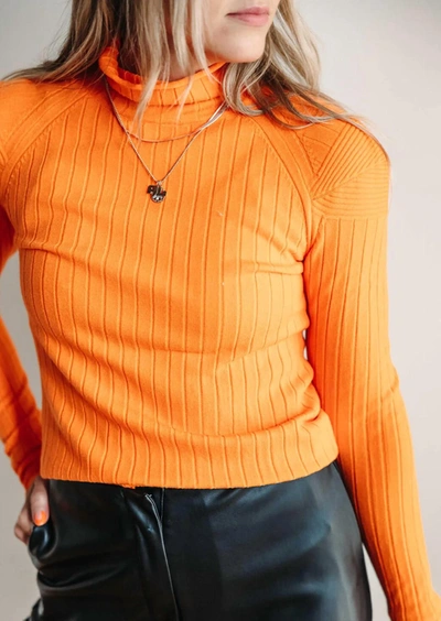 Shop Deluc Pixies Turtleneck Sweater In Orange
