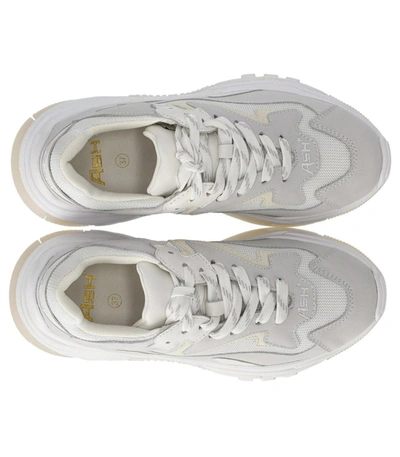 Shop Ash Addict White Sneaker