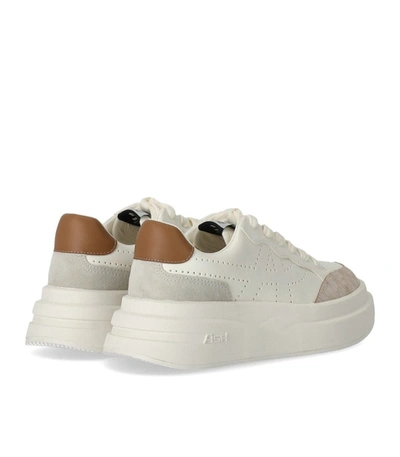 Shop Ash Impuls Bis White Brown Sneaker