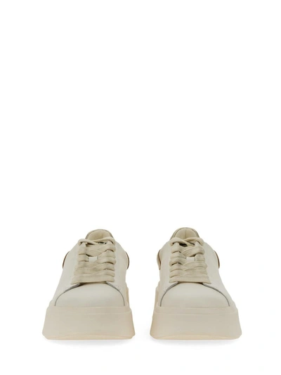 Shop Ash "moby 02" Sneaker In White