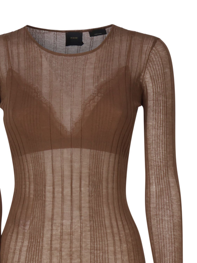 Shop Pinko Semi-transparent Ribbed Knit In Brown