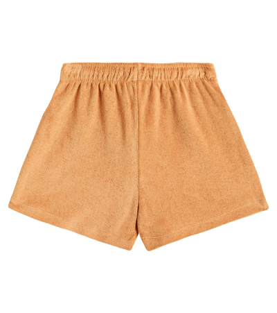 Shop Tinycottons Towel Cotton Shorts In Dark Brown