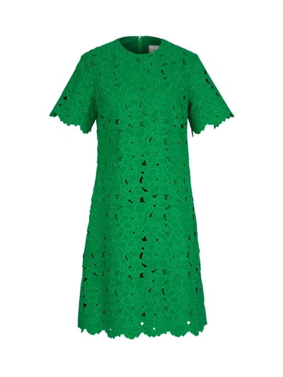 Shop Erdem Cutwork Mini Dress In Verd