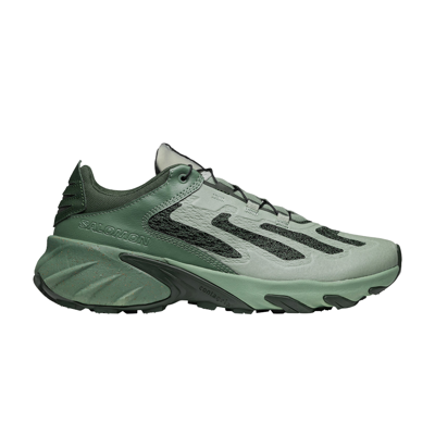 Pre-owned Salomon Speedverse Prg 'deep Forest Laurel Wreath' In Green