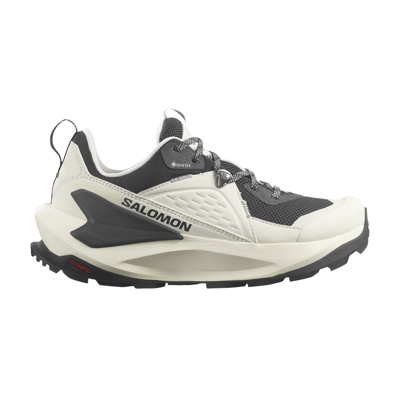 Pre-owned Salomon Wmns Elixir Gore-tex 'vanilla Ice Metal' In White