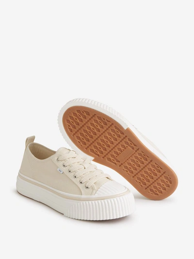 Shop Ami Alexandre Mattiussi Ami Paris Low Top 1980 Sneakers In Crema