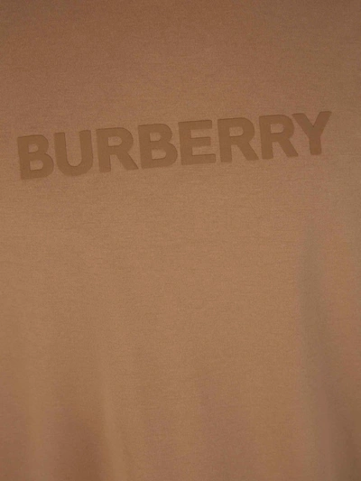 Shop Burberry Cotton Logo T-shirt In Caramel