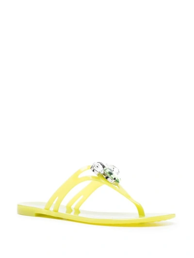Shop Casadei Jelly Thong Sandals In Yellow