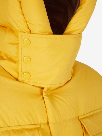 Shop Moncler Genius Padded Hood Jacket In Groc