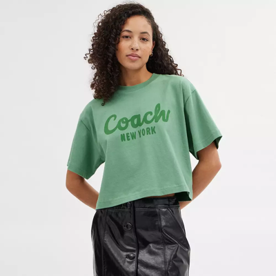 Shop Coach In Green