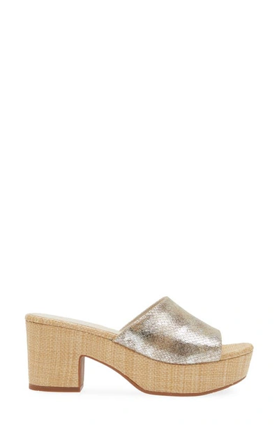 Chocolat Blu Giselle Platform Sandal In Tan Embossed Snake