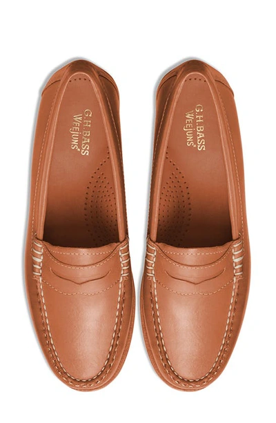 Shop G.h.bass Whitney Weejuns® Penny Loafer In Tan