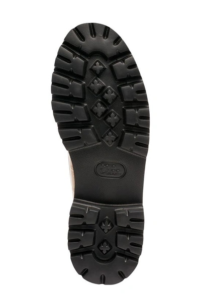 G.h.bass Lianna Croc Embossed Super Bit Weejuns® Penny Loafer In Latte