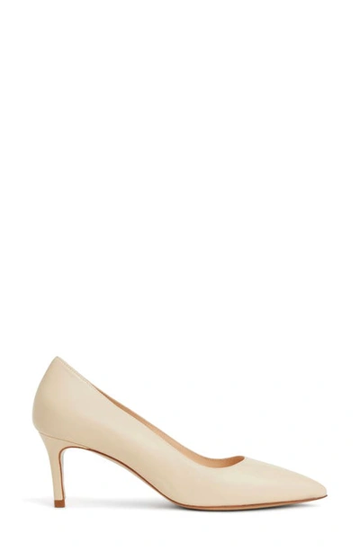 Shop Bruno Magli Tara Pointed Toe Pump In Sand